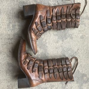 Rare Freebird by Steven Stoke